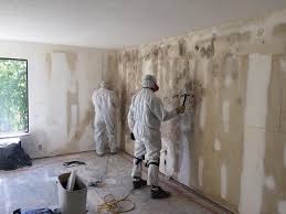 Best Environmental Consulting for Mold Prevention  in Vincent, AL